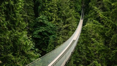 Capilano Suspension Bridge, West Vancouver, Canada