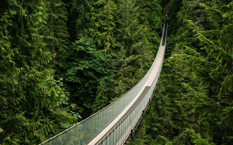 Capilano Suspension Bridge, West Vancouver, Canada