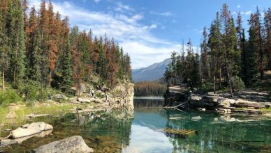 Jasper National Park 