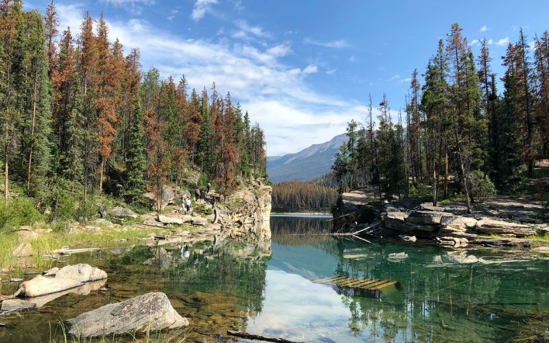 Jasper National Park 