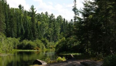 Algonquin Provincial Park Canada