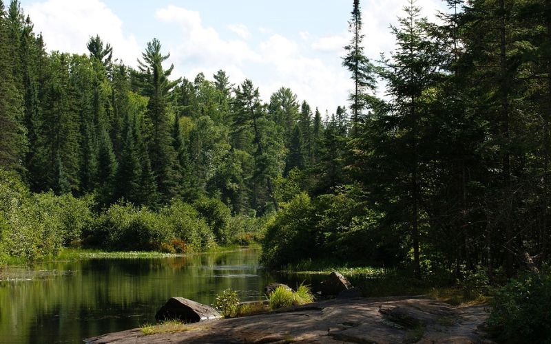 Algonquin Provincial Park Canada