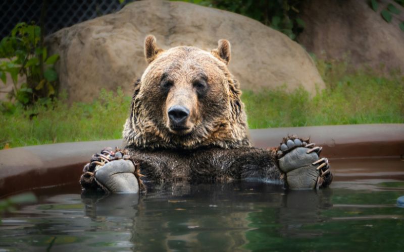 Forestry Farm Park Zoo at Saskatoon Canada