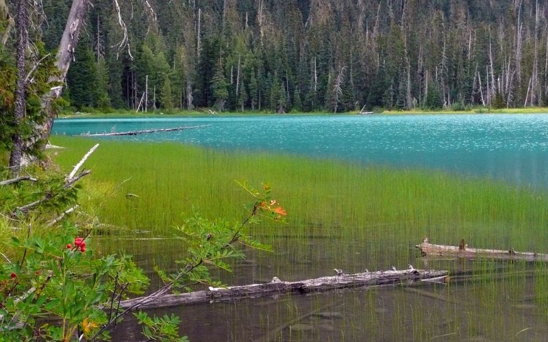 Joffre Lakes, British Columbia