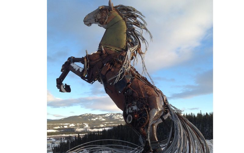 Whitehorse, Yukon, Horse