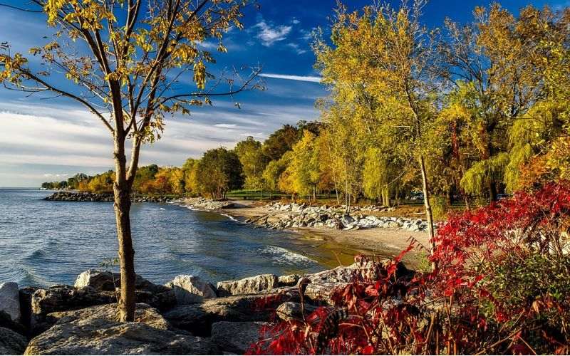 Golden and red autumn leaves by the calm waters of Lake Ontario, Canada