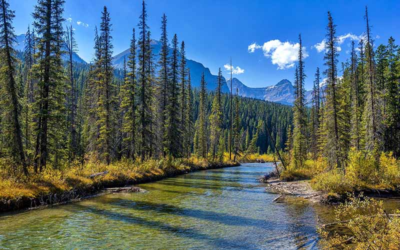 Jasper National Park Canada