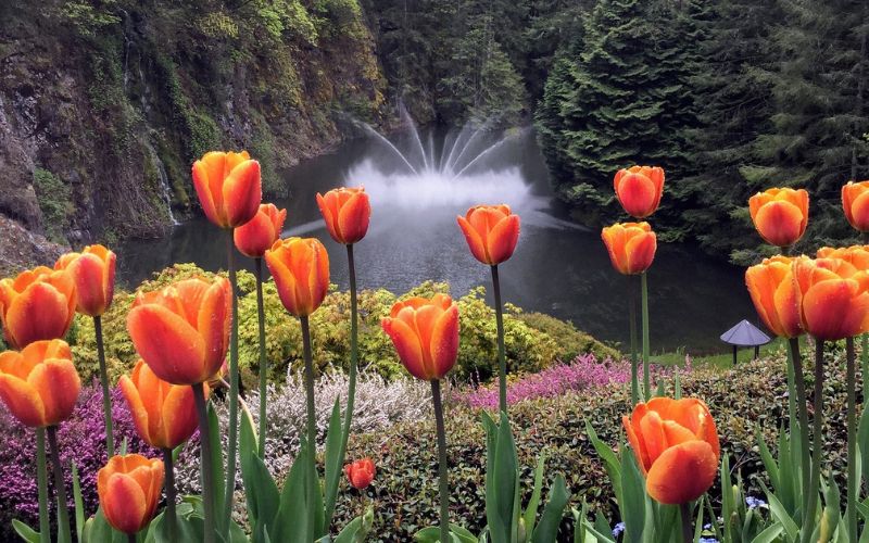 Butchart Gardens BC